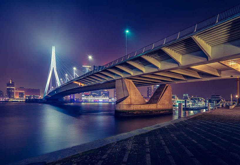 The Erasmus Bug in Rotterdam at Night by Martijn van der Nat
