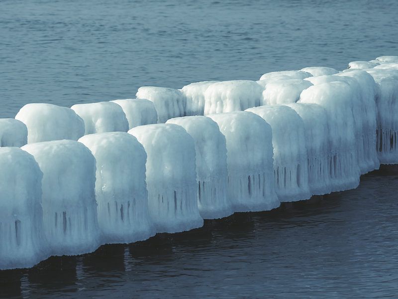 Ice-covered Groins par Jörg Hausmann
