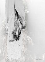 Attributen voor papierkunst