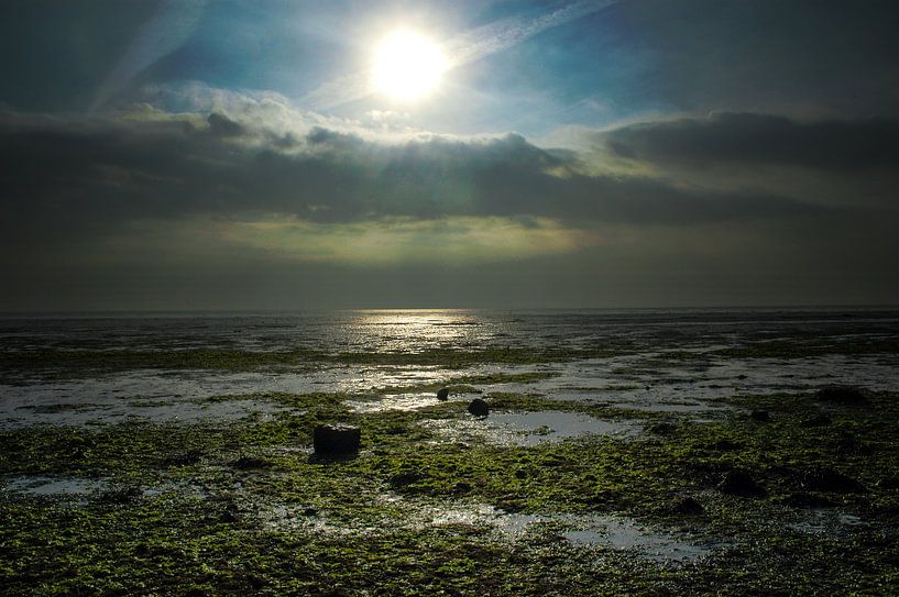 De Schorren - Texel, stefan witte von Stefan Witte