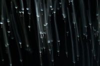 Fallende Samen eines Löwenzahns