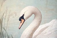 Schwan in Gelassenheit Natürliche Eleganz an der Waterfront