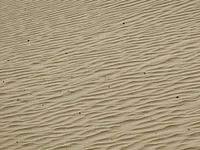 Zandstructuur in de duinen