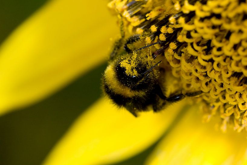 Eet smakelijk von Anne Dijkhoff