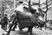 Charging Bull / Wall Street / New York
