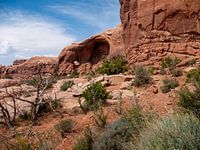 Desert landscape with rock formations Arches National Park