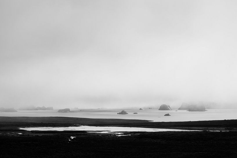 Eisberge im Nebel 2 von Ellen Zwagerman
