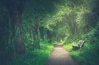 Wanderweg entlang des Kromme Rijn, Utrecht