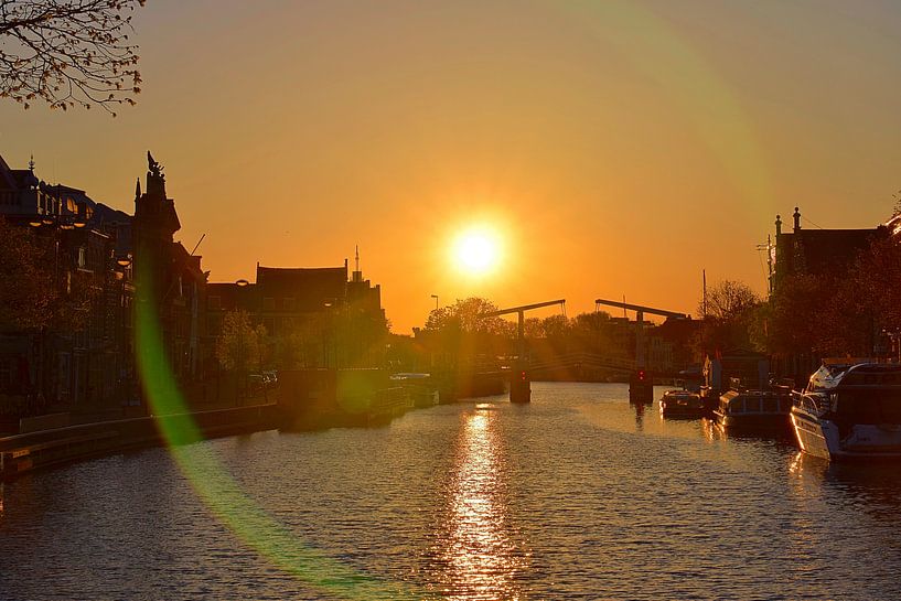 Waking up slowly (2017) by Eric Oudendijk