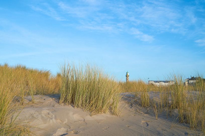 Dunes at the beach of Warnemünde at the Baltic Sea by Heiko Kueverling