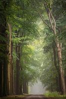 Lost my mind and found my soul