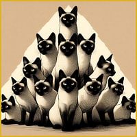 Pyramide de chats siamois
