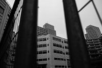 The Hague | Through those bars