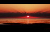 Unieke zonsondergang - Unique Sunset 