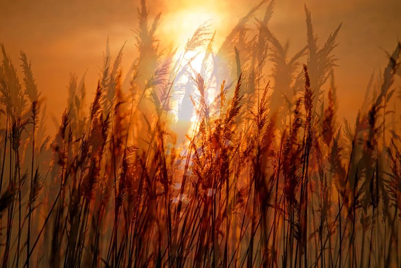 Ostseeufer von Thomas Jäger