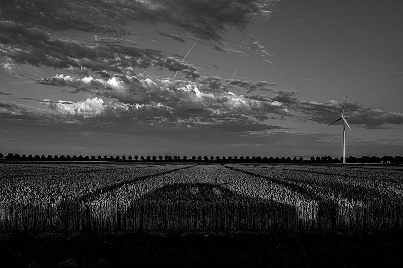 the road trip to everywhere by Reggie Goole