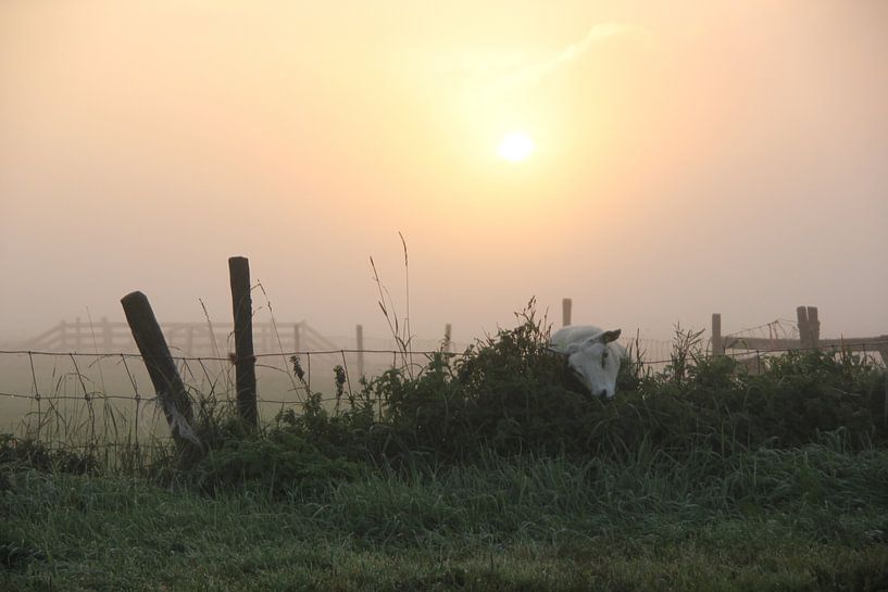 Texel Landschap 052 von Starworks:  LinaLena van der Star