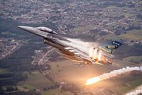 Luftaufnahme einer belgischen F-16AM mit Speziallackierung
