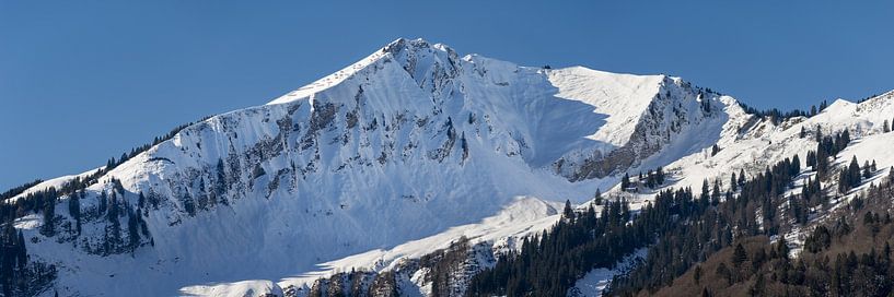 Panorama de montagne Fellhorn par Walter G. Allgöwer