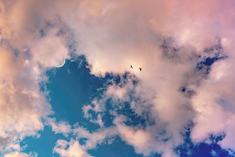 Couverture nuageuse rose et rêveuse par Marcel Kieffer