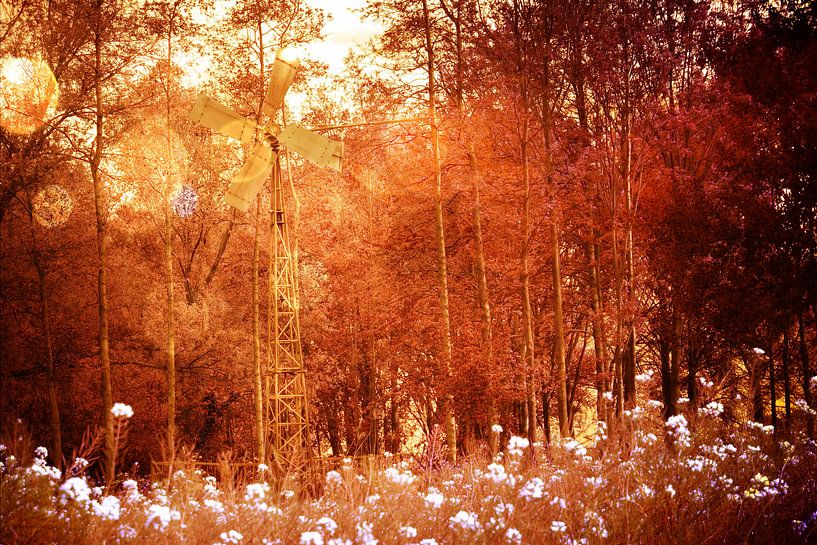 Light ballet of bulbs above flower sea by Carin Klabbers