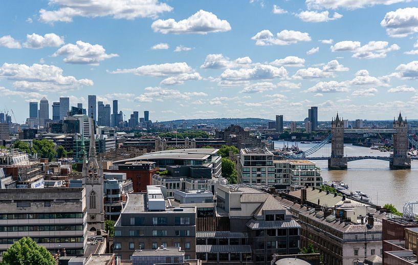 View of the City of London with Tower Bridge and the River Thames by Animaflora PicsStock