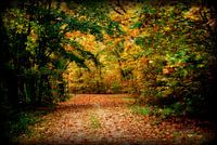 prachtig uitzicht vanaf de muur!