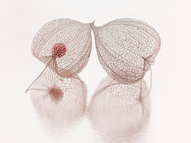 Stilleben: Innen leer von Marjolijn van den Berg