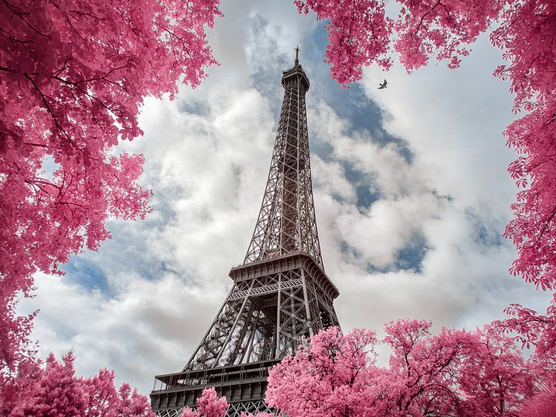 Tour L&#039;amour par Pieter Heine