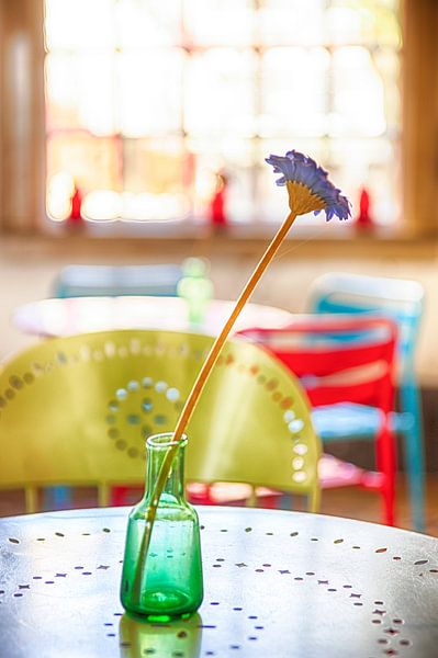 Flower Power by Pieter van Roijen