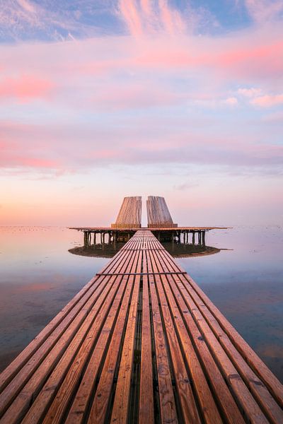 The Strokes. by Marco Lok