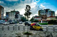 Ein kleiner Baum wird hoch werden?