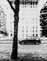 Car and tree in Amsterdam, Black and white, Netherlands, Photography, Aaya Photographs