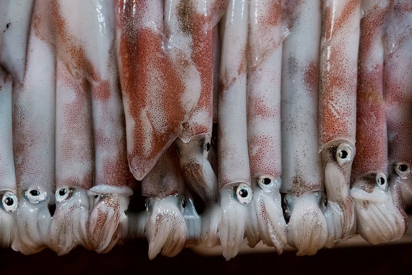 Tintenfisch-Paradies von Karlijne Geudens