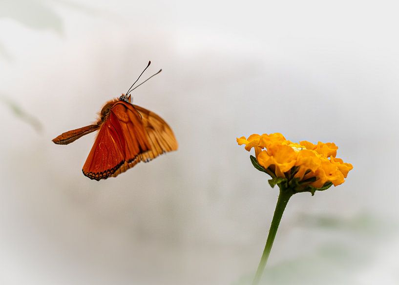 Approche de la cible par Kilian Schloemp