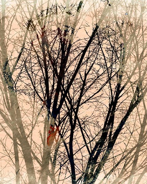 Herbstlicher Wald im Sonnenlicht von Mad Dog Art