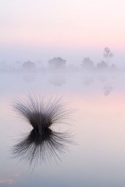 Accord de séparation par Joep de Groot