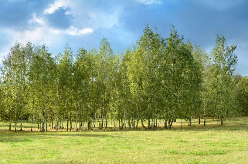 Kurz vor einem Gewitter von Violetta Honkisz
