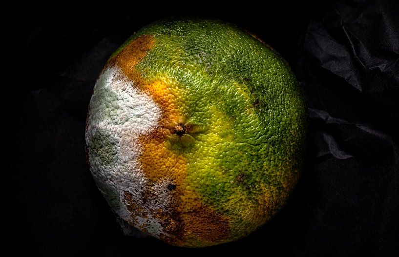 Two sides by Olha Rohulya