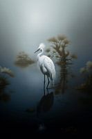 Grue blanche dans un lac