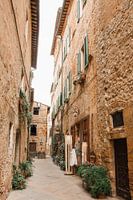 Straße mit vielen Pflanzen | Reisefotografie Druck | Pienza Italien