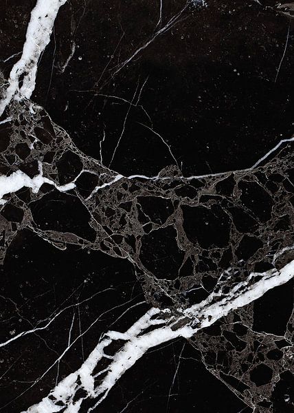 NETWORKED BLACK &amp; WHITE v1 van Pia Schneider