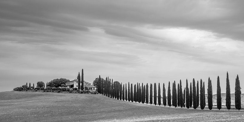 Poggio Covili, im Val d'Orcia, Toskana von Felix Sedney