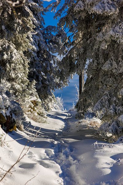 Der Weg ! von Thomas Heins
