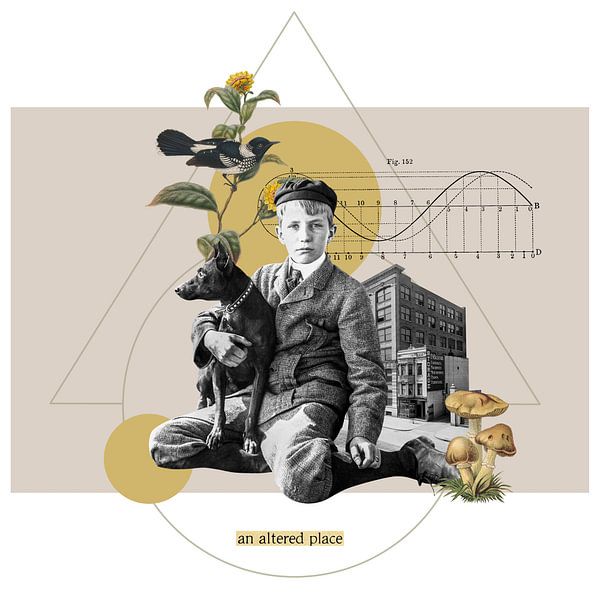 Altered Places by Marja van den Hurk