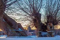 Winter in Oosterbeek 2021 - Die Alte Kirche