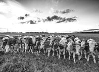 Helemaal niet nieuwsgierig hoor...