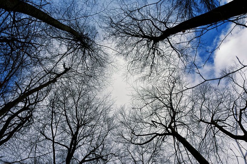 Himmelsstürmer van Joachim G. Pinkawa