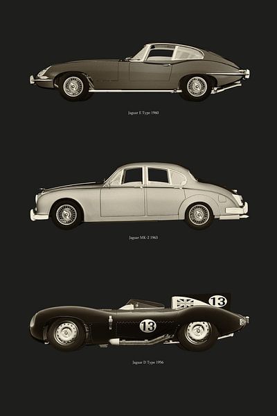 Iconic Jaguar Cars by Jan Keteleer