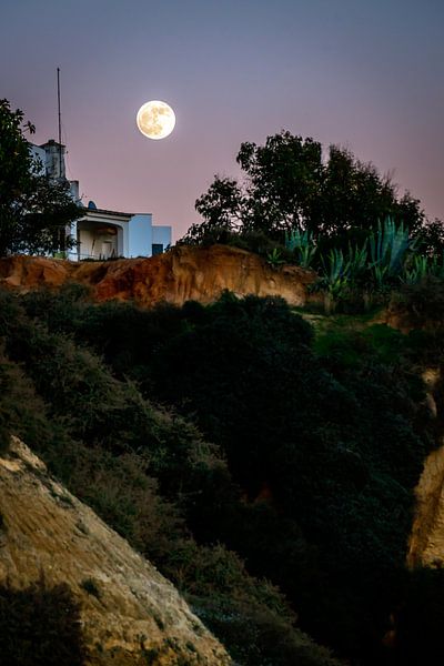 Rising Full Moon von Urban Photo Lab